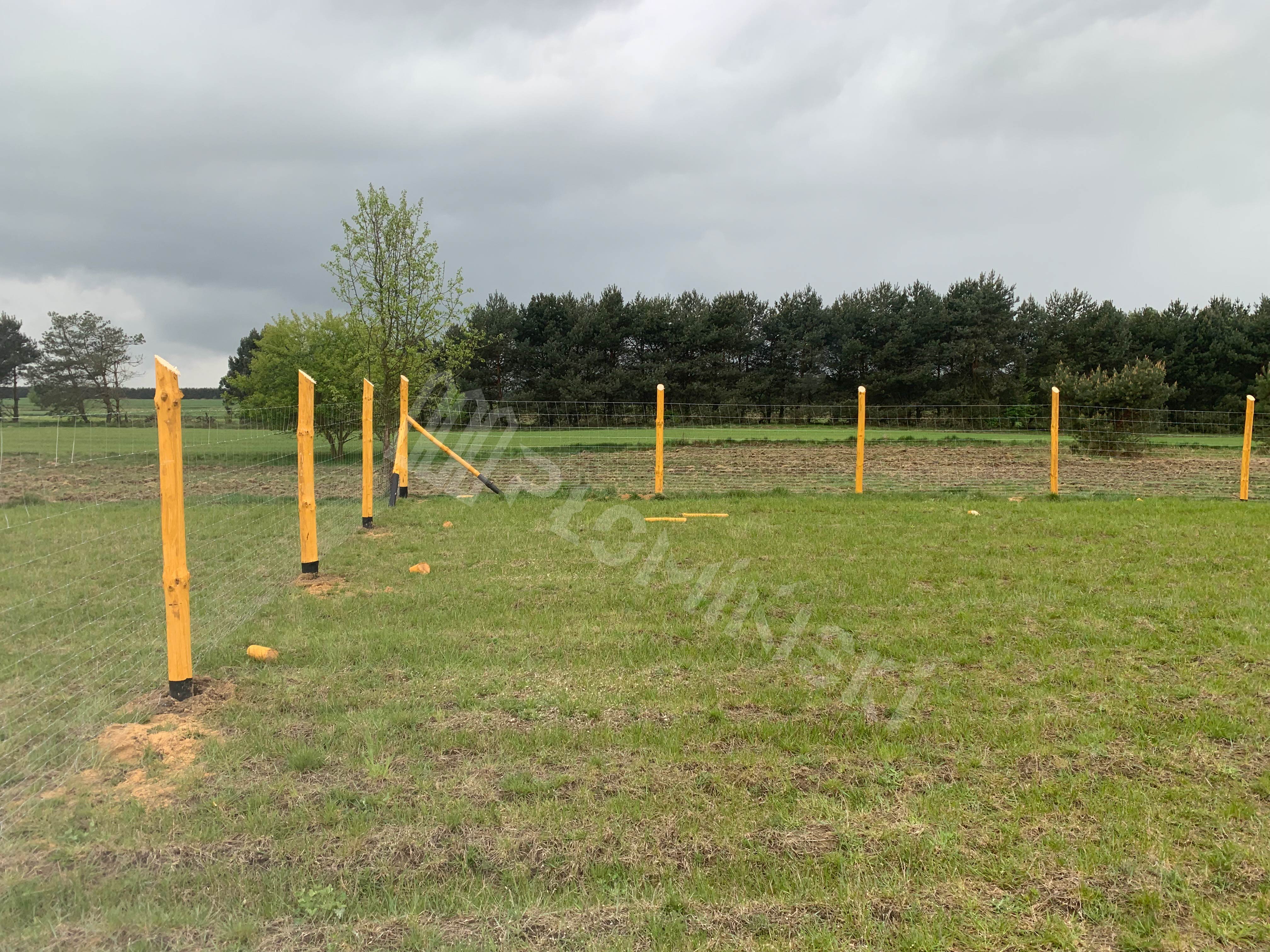 Ogrodzenie Tymczasowe Impregnowane